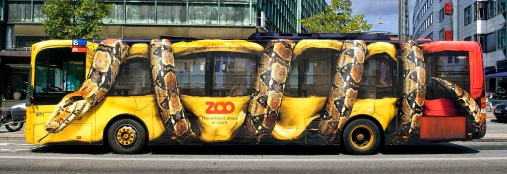 zoo